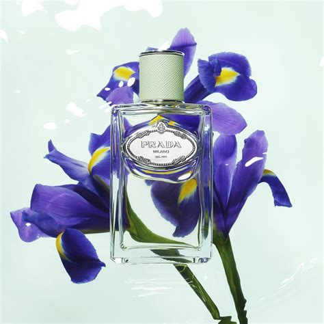 prada iris parfum 50 ml|Prada iris perfume women.